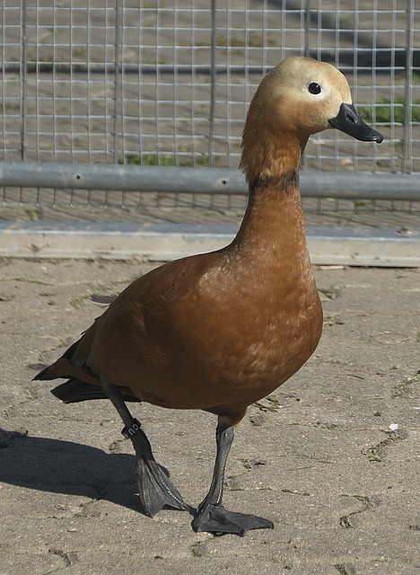 背后都蕴含
